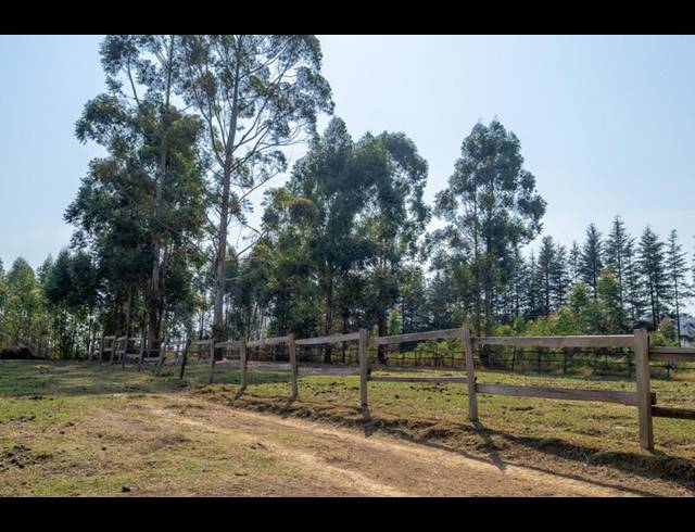 LAND FOR SALE IN GREENDALE